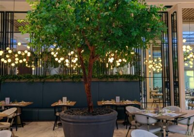 Sofitel The Obelisk Wafi Custom Artificial Trees with natural trunk artificial plants natural plants custom GRC pots