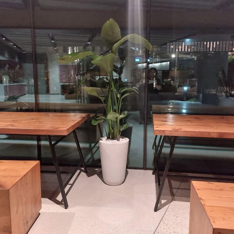 Custom GRC Pots & Comprehensive Plant Installations at Dubai Expo: Elevating Indoor & Outdoor Restaurant Spaces Custom GRC Pots & Comprehensive Plant Installations at Dubai Expo: Elevating Indoor & Outdoor Restaurant Spaces