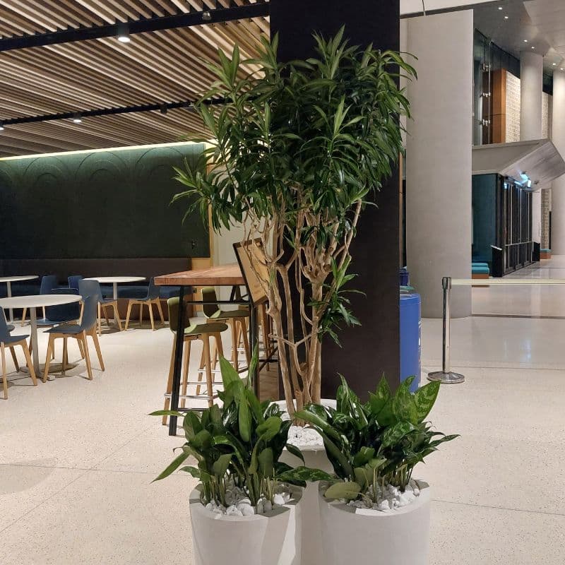 Custom GRC Pots & Comprehensive Plant Installations at Dubai Expo: Elevating Indoor & Outdoor Restaurant Spaces Custom GRC Pots & Comprehensive Plant Installations at Dubai Expo: Elevating Indoor & Outdoor Restaurant Spaces