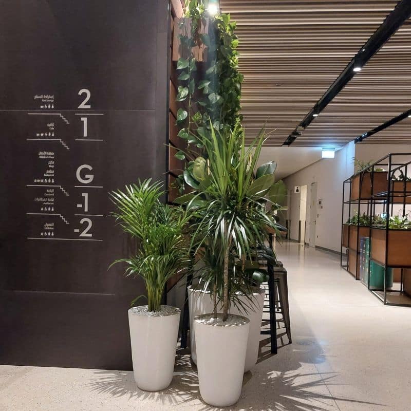 Custom GRC Pots & Comprehensive Plant Installations at Dubai Expo: Elevating Indoor & Outdoor Restaurant Spaces Custom GRC Pots & Comprehensive Plant Installations at Dubai Expo: Elevating Indoor & Outdoor Restaurant Spaces