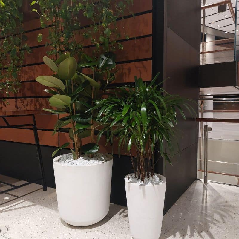 Custom GRC Pots & Comprehensive Plant Installations at Dubai Expo: Elevating Indoor & Outdoor Restaurant Spaces Custom GRC Pots & Comprehensive Plant Installations at Dubai Expo: Elevating Indoor & Outdoor Restaurant Spaces