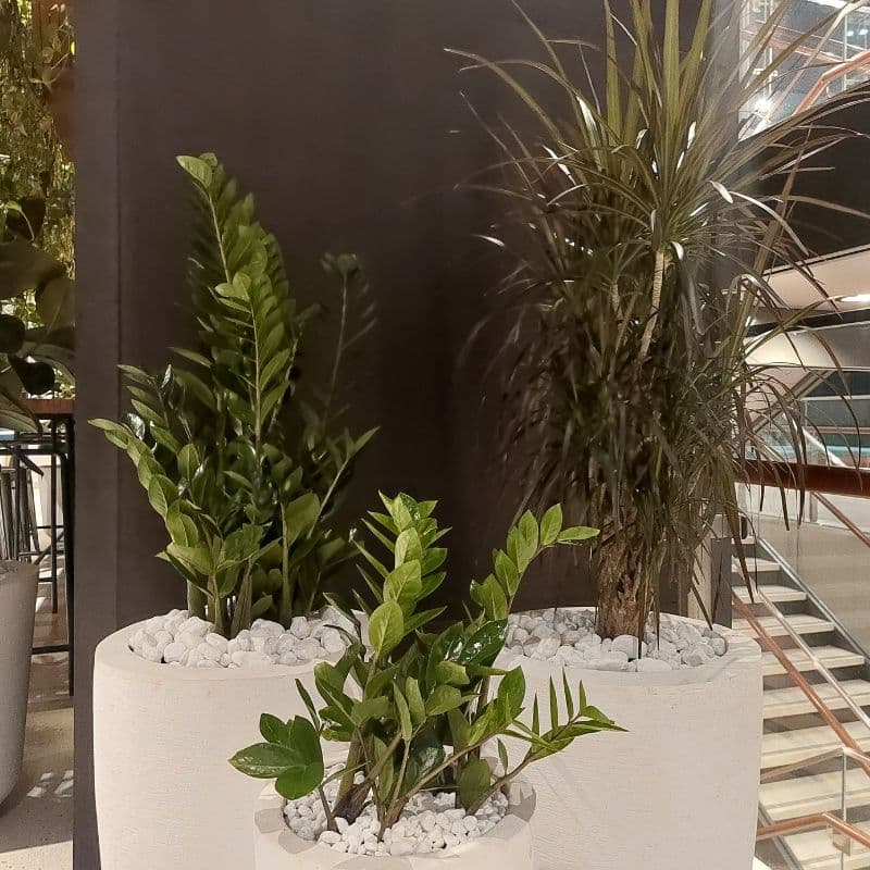 Custom GRC Pots & Comprehensive Plant Installations at Dubai Expo: Elevating Indoor & Outdoor Restaurant Spaces Custom GRC Pots & Comprehensive Plant Installations at Dubai Expo: Elevating Indoor & Outdoor Restaurant Spaces