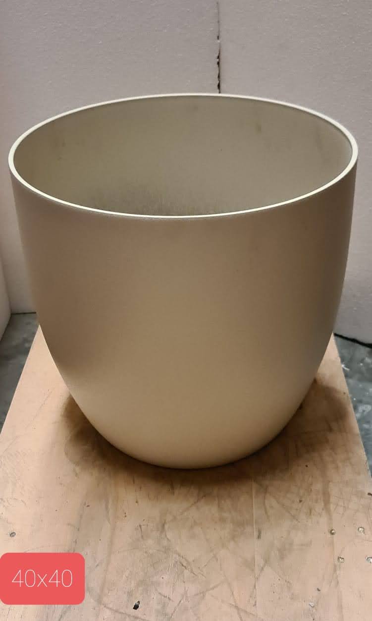 chamaeloen plant pot