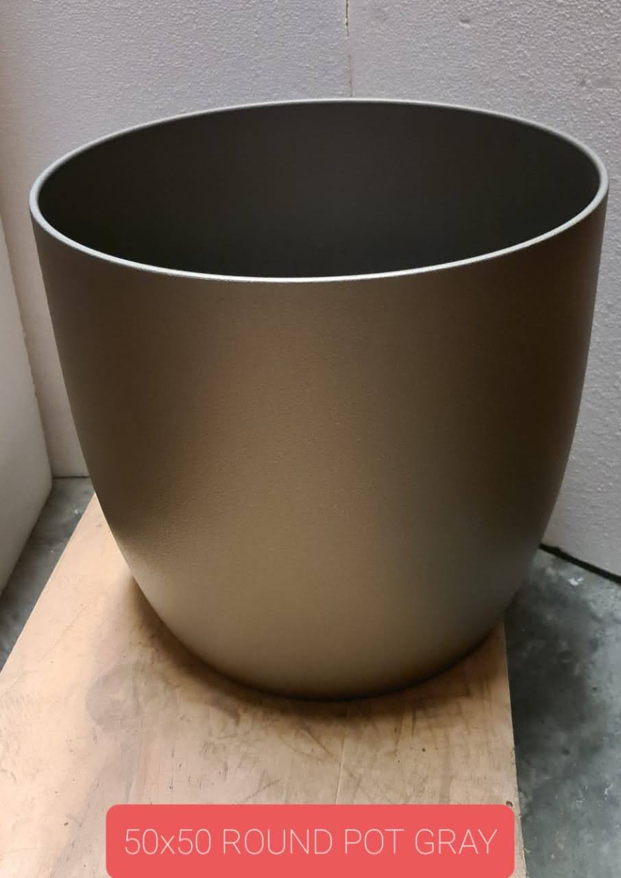 chameleon plant pot