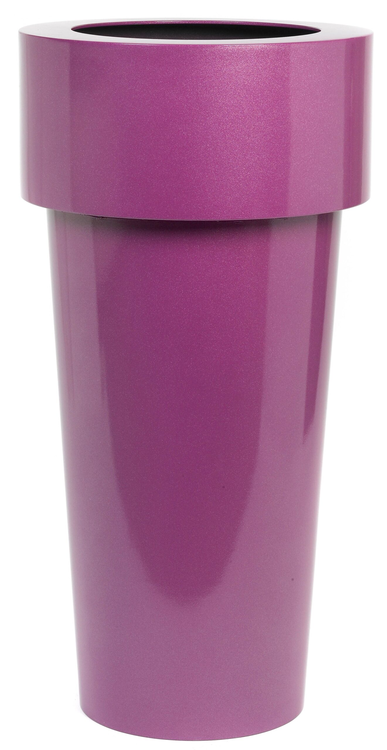 blackberry plant pot